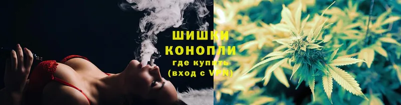 Каннабис OG Kush  Заводоуковск 